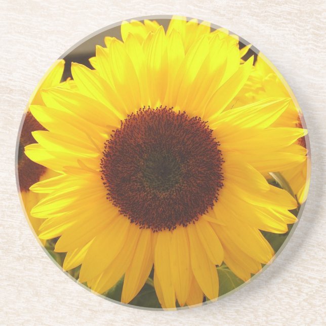 Sunflowers Coaster (Front)