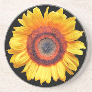 SUNFLOWERS COASTER