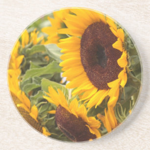 Sunflowers! Coaster