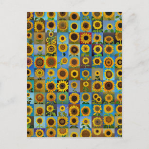 Sunflowers collage postcard