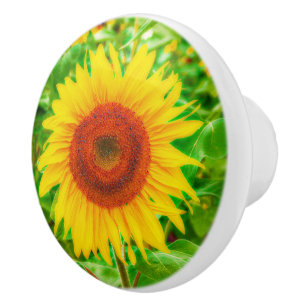 Sunflowers Country Yellow Green Bright Floral Ceramic Knob