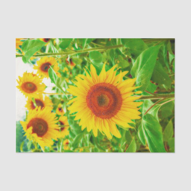 Sunflowers Country Yellow Green Floral Decoupage Tissue Paper (Front)