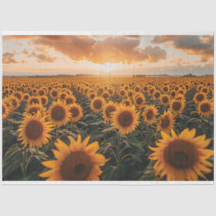 Sunflowers Field Decoupage  Tissue Paper