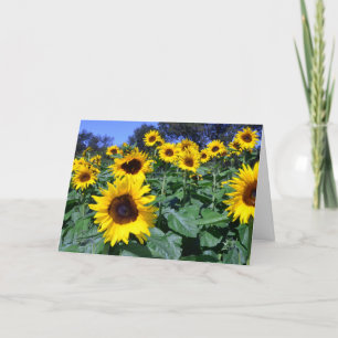Sunflower's for Mom Card