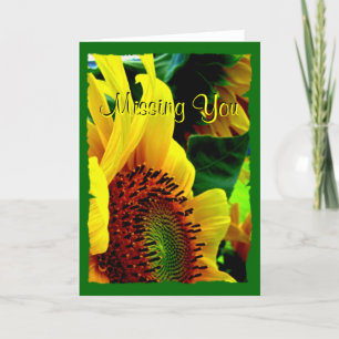 Sunflowers Greeting Card 003