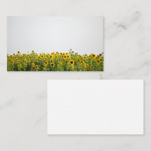 Sunflowers in a Field Business Card
