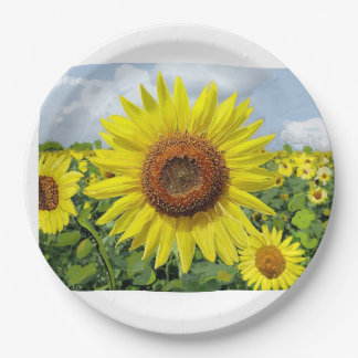 Sunflowers in Abundance digital art print Postcard Paper Plate