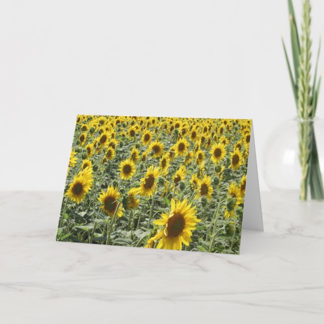 Sunflowers in Late Afternoon Card (Front)