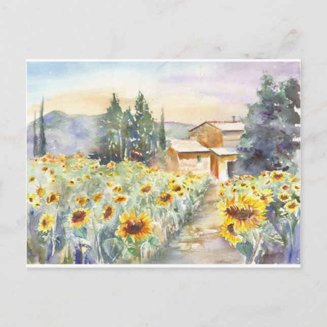Sunflowers In Provence Postcard (Front)