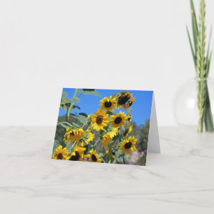 Sunflowers in the sun and a clear blue sky note card