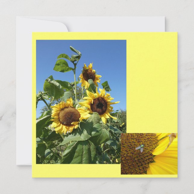 Sunflowers Invitation Card (Front)