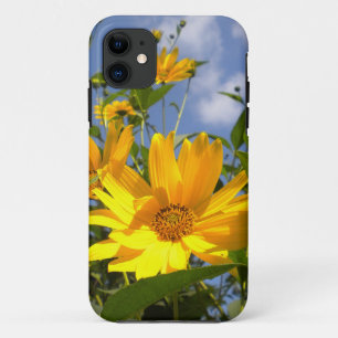 Sunflowers iPhone 5 coque