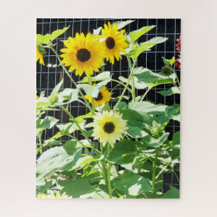 Sunflowers Jigsaw Puzzle