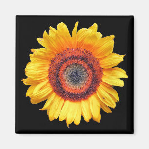 SUNFLOWERS MAGNET