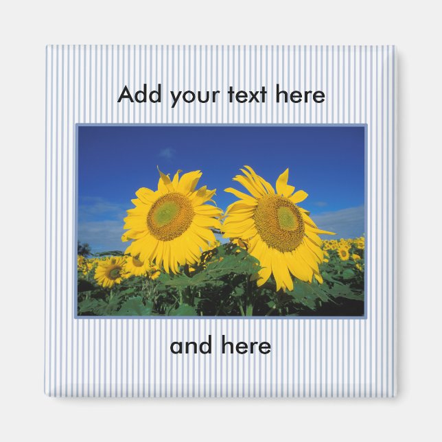 Sunflowers Magnet (Front)