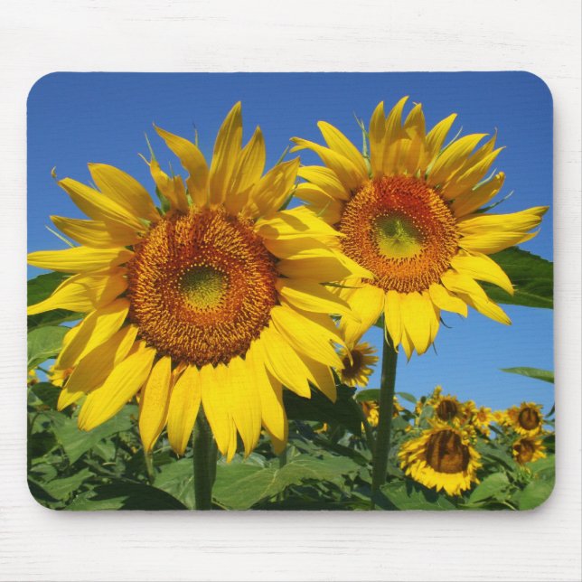 Sunflowers, Mouse pad (Front)