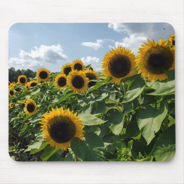 Sunflowers Mouse Pad (Front)