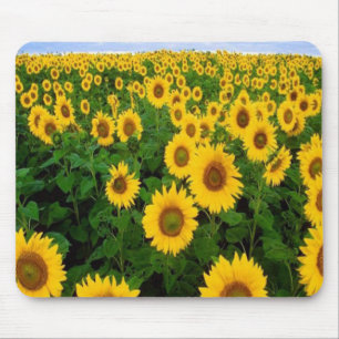 Sunflowers Mousepad