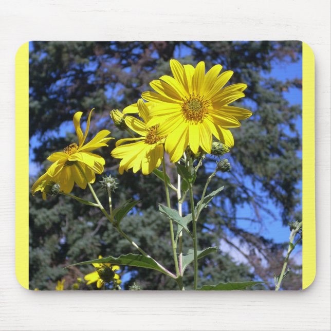 Sunflowers n Pine Mouse Pad (Front)