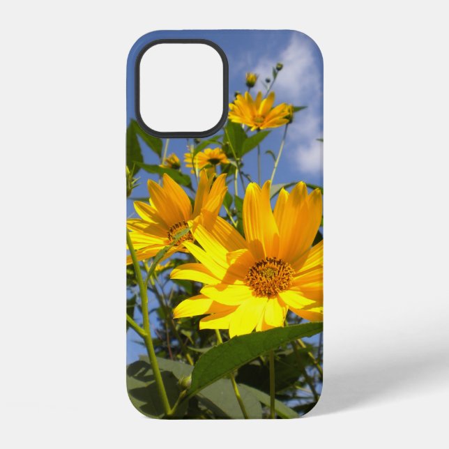 Sunflowers n Sky iPhone Case (Back)