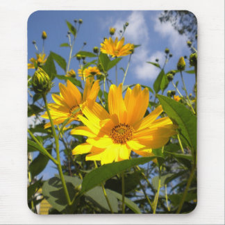 Sunflowers N Sky Wrapped Canvas Mouse Pad