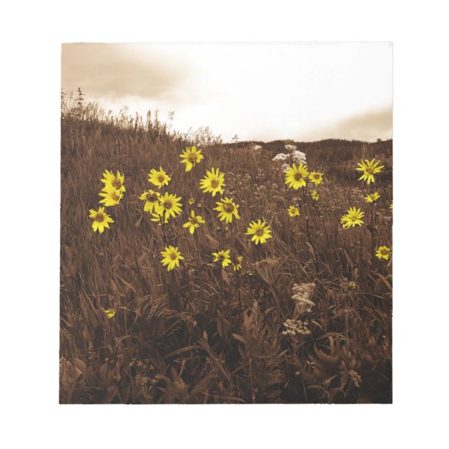 Sunflowers Notepad (Front)