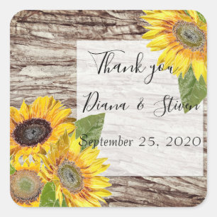 Sunflowers on a background of tree bark postcard square sticker