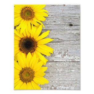 Sunflowers on a Table Photo Print