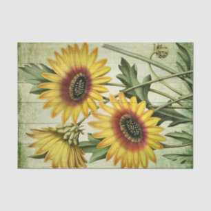 Sunflowers on Grunge Style Olive Wood Panels Tissue Paper