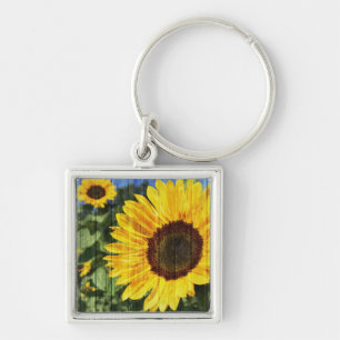 Sunflowers Painted Fence Keychain