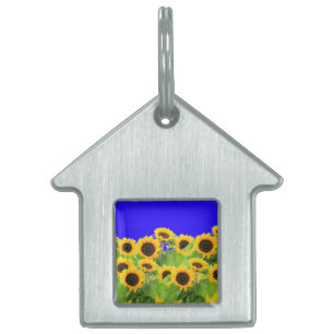 Sunflowers Pet ID Tag