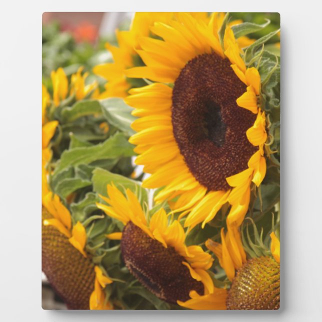 Sunflowers! Plaque (Front)