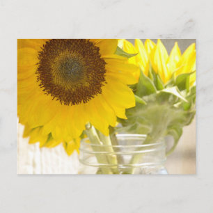 Sunflowers Postcard
