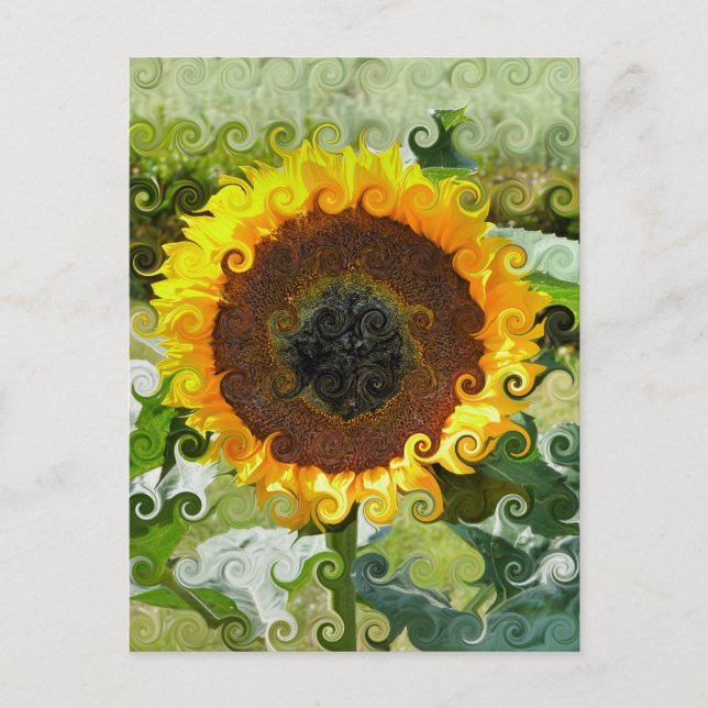 SUNFLOWERS POSTCARD (Front)