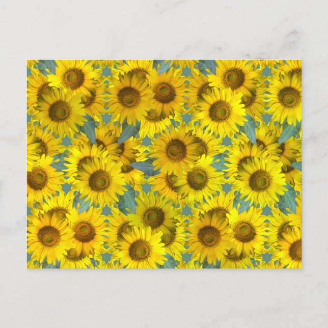Sunflowers Postcard (Front)