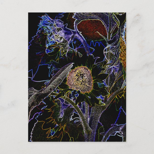 SUNFLOWERS POSTCARD (Front)