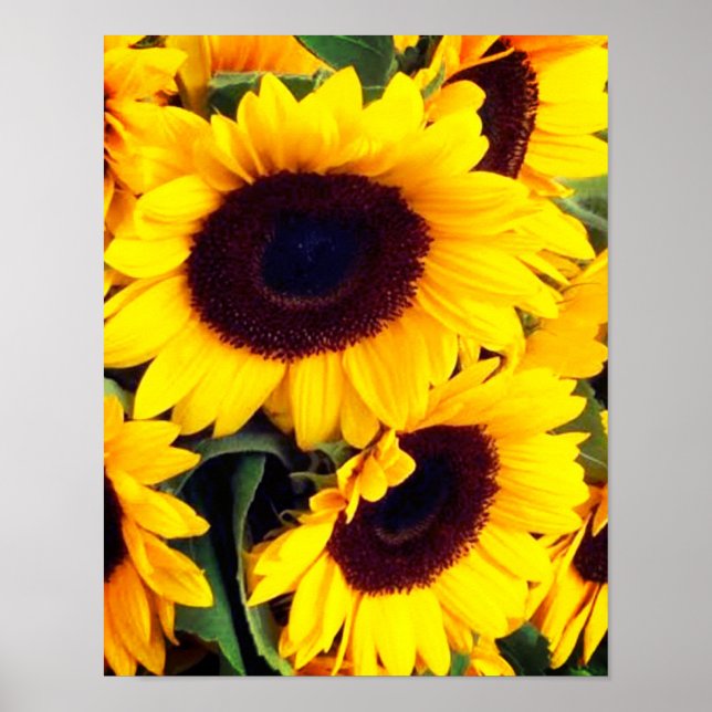 Sunflowers Poster (Front)