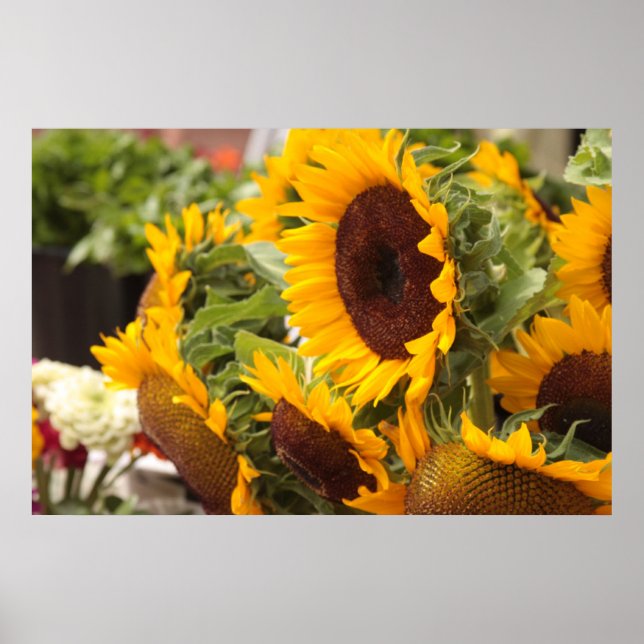 Sunflowers Poster (Front)