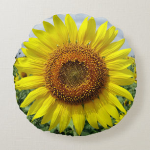SunFlowers Round Pillow