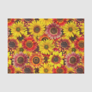 Sunflowers Seamless Pattern Tissue Paper