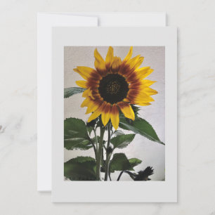 Sunflowers simple note card for handwritten