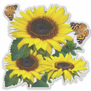 Sunflowers Sticker