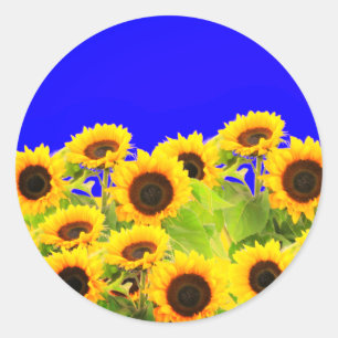 Sunflowers Sticker Ukraine Flag Colours - Freedom