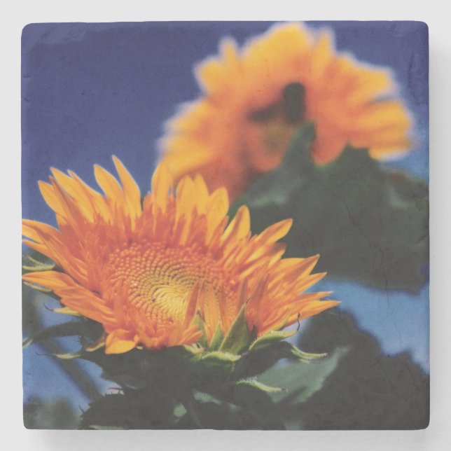 Sunflowers Stone Coaster (Front)