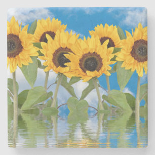 Sunflowers Stone Coaster