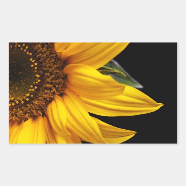Sunflowers - Sunflower Customized Template Blank Sticker (Front)