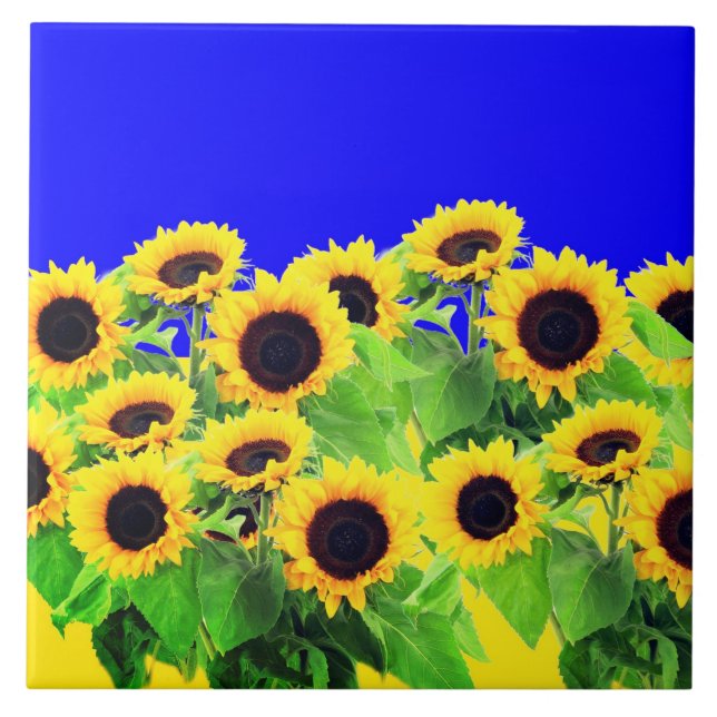 Sunflowers Tile Ukrainian Flag Colours (Front)