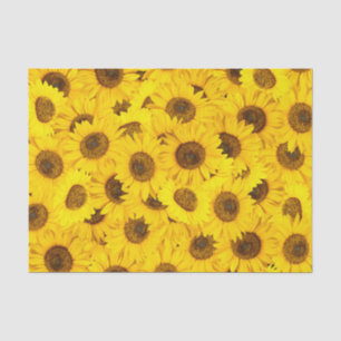 Sunflowers Tissue Paper