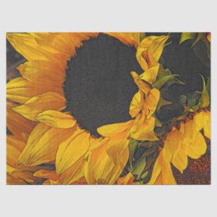 Sunflowers Tissue Paper