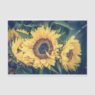 Sunflowers Tissue Paper